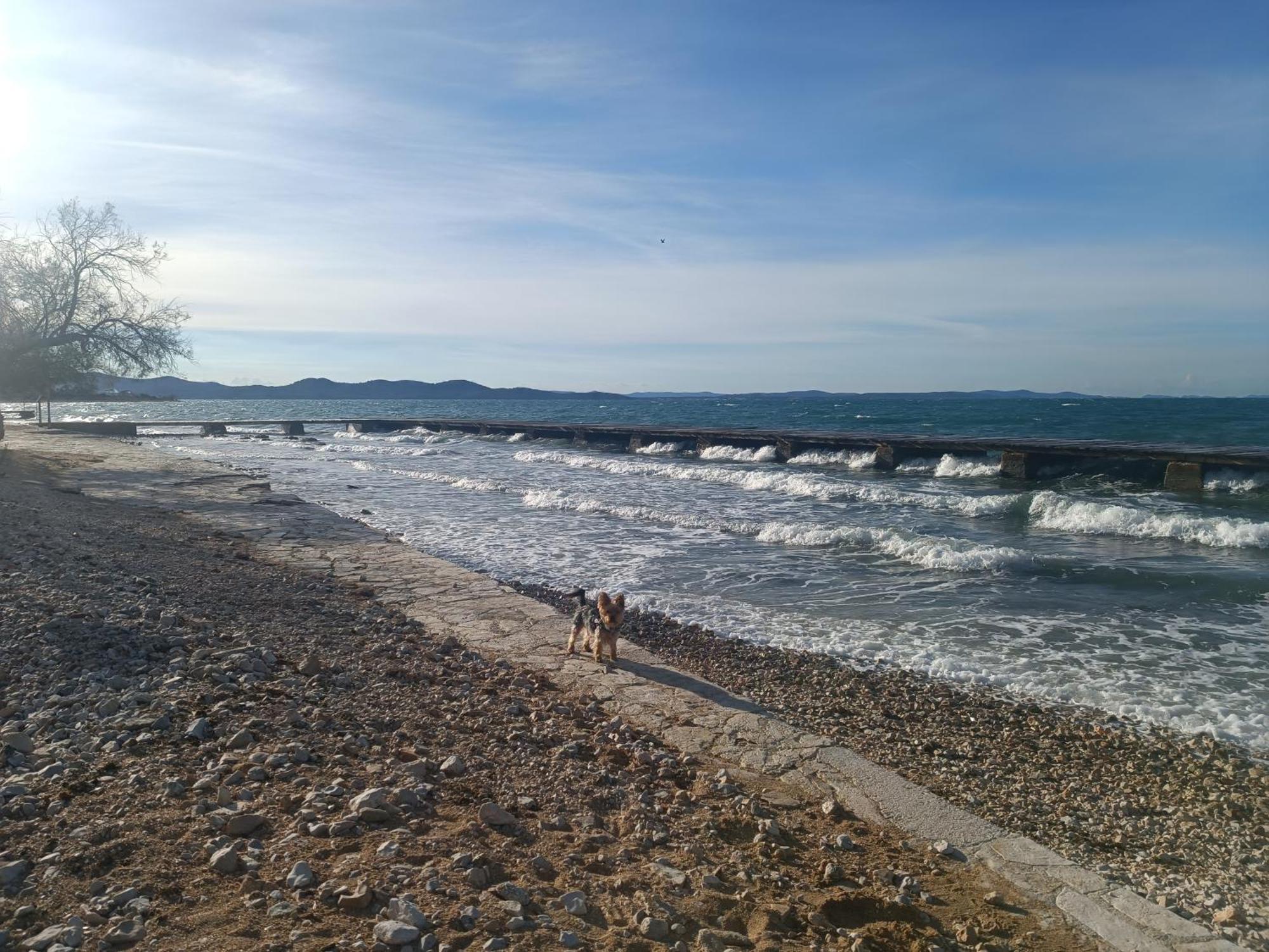 Zadar Beach Apartments Luaran gambar