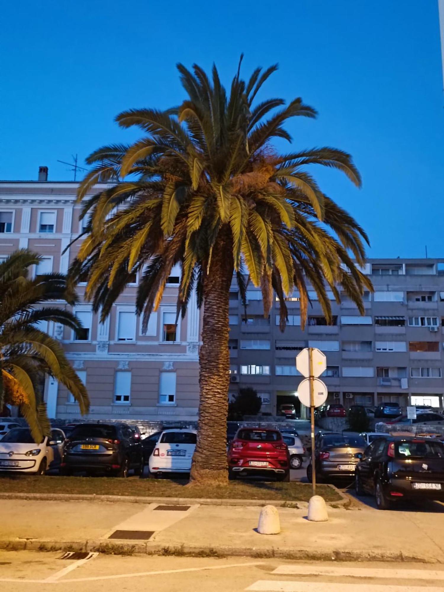 Zadar Beach Apartments Luaran gambar